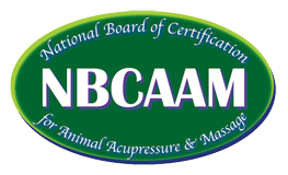 NBCAAMLogo4